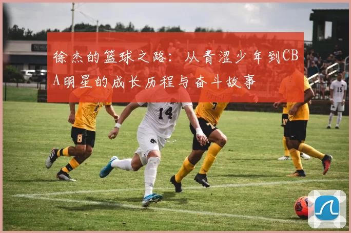 徐杰的篮球之路：从青涩少年到CBA明星的成长历程与奋斗故事