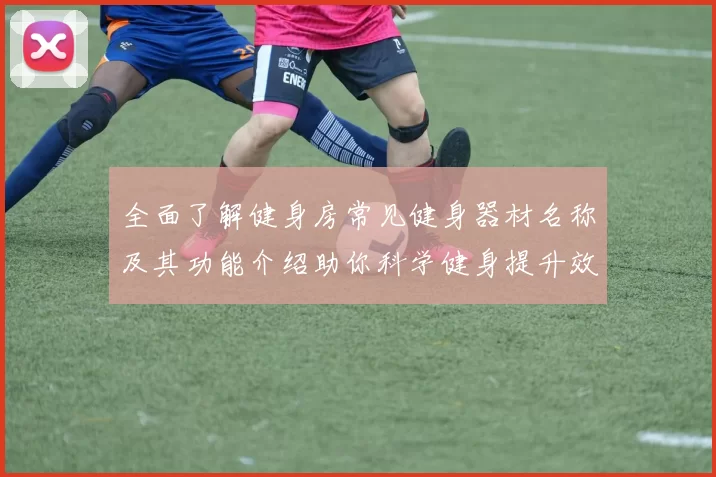 全面了解健身房常见健身器材名称及其功能介绍助你科学健身提升效果