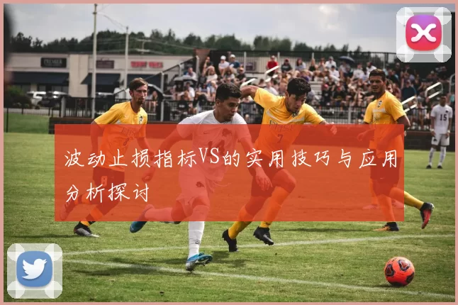 波动止损指标VS的实用技巧与应用分析探讨