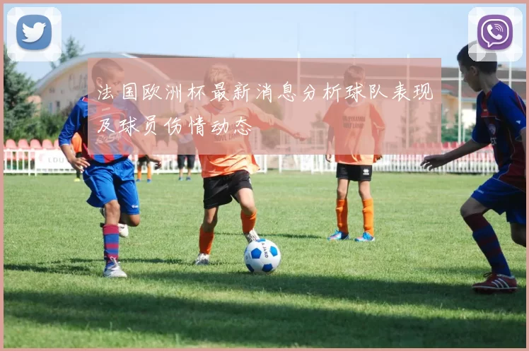 法国欧洲杯最新消息分析球队表现及球员伤情动态