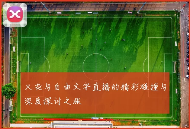 火花与自由文字直播的精彩碰撞与深度探讨之旅