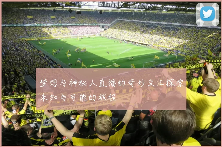 梦想与神秘人直播的奇妙交汇探索未知与可能的旅程